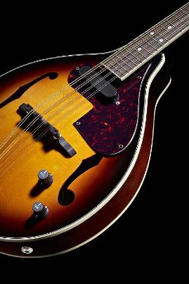 FenderFM52emandolin